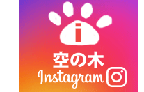 空の木犬猫病院instagramはこちら